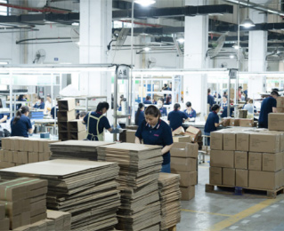 Packing Lines