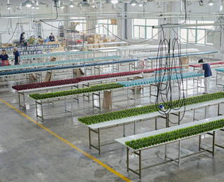 Wax Pouing lines